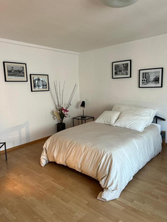Schweiz Apartment Basel Bagian luar foto