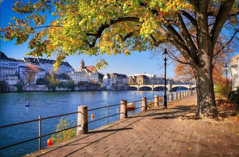 Schweiz Apartment Basel Bagian luar foto