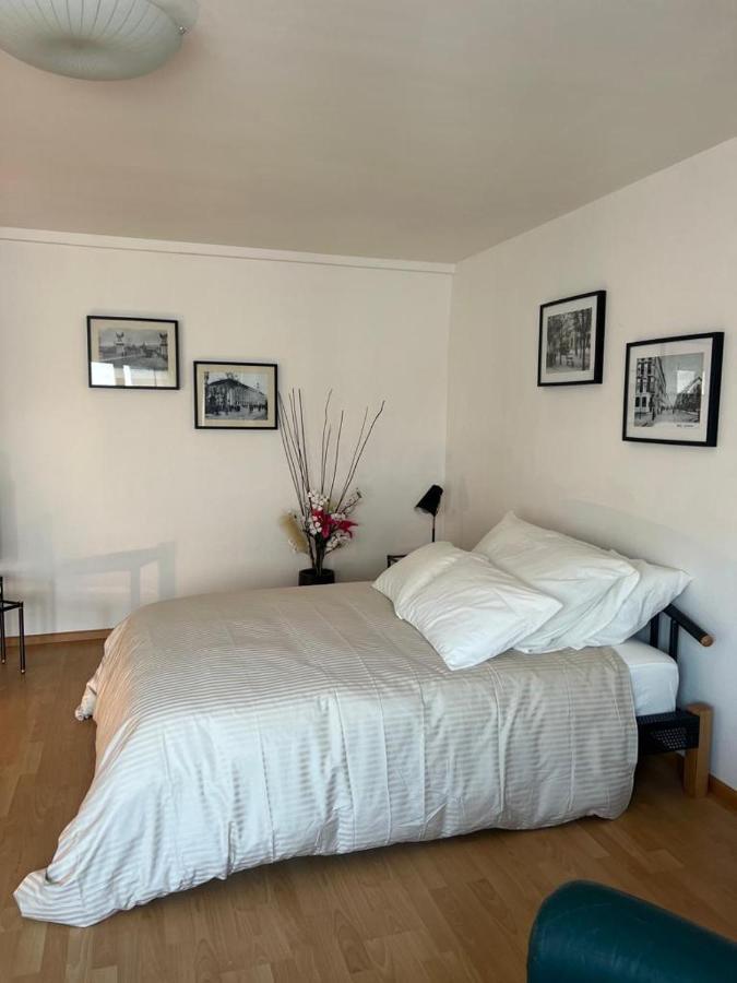 Schweiz Apartment Basel Bagian luar foto
