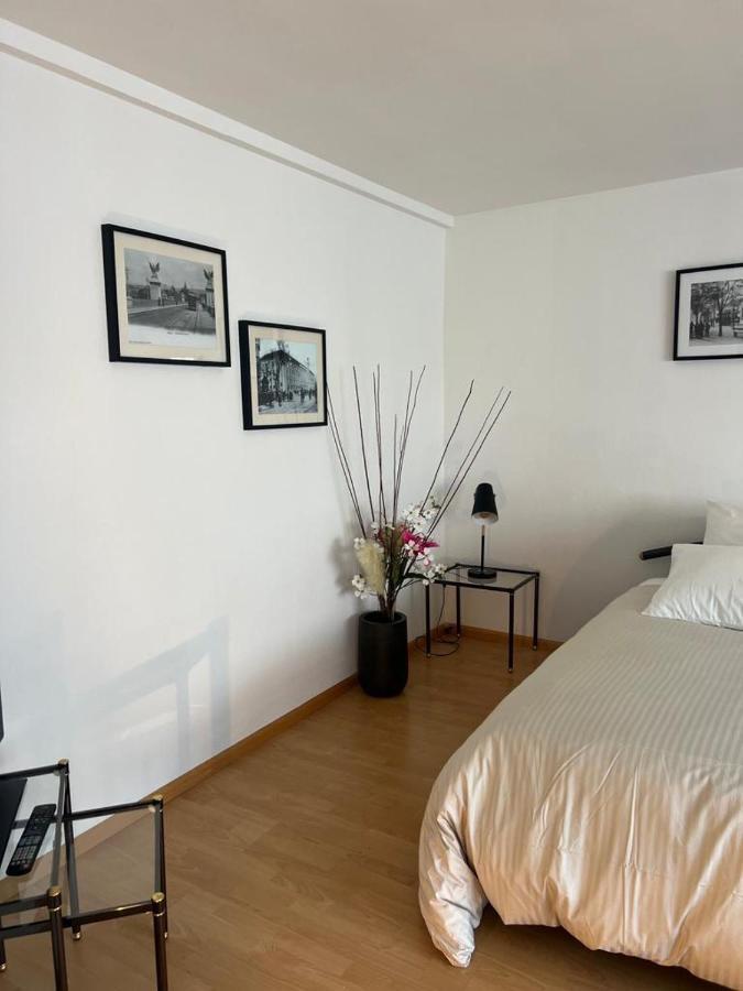 Schweiz Apartment Basel Bagian luar foto