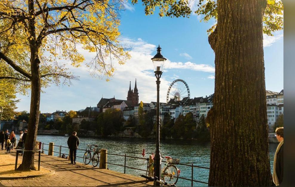 Schweiz Apartment Basel Bagian luar foto